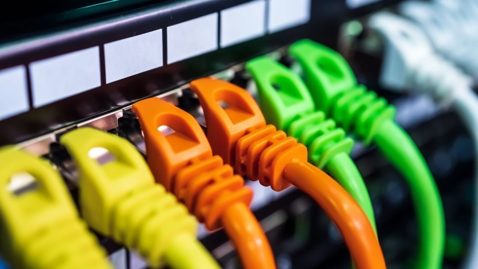 The Ultimate Guide For Running Through Your House Dr. Homey