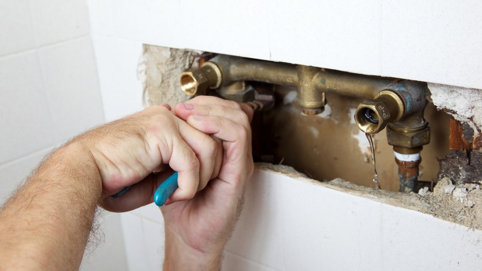 how-to-fix-a-leaky-shower-without-tearing-it-out-dr-homey