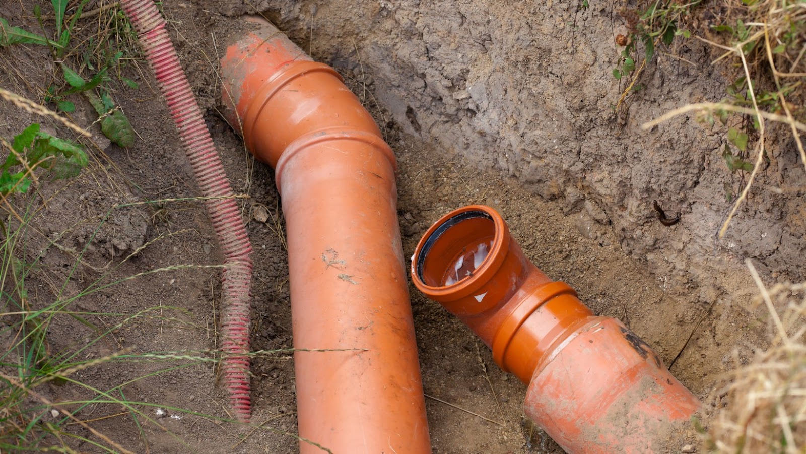 Causes And Consequences Of Sewer Backups Dr. Homey