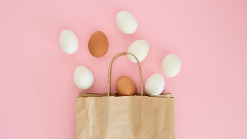 harga telur hari ini blitar