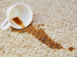 How to Clean a Carpet?