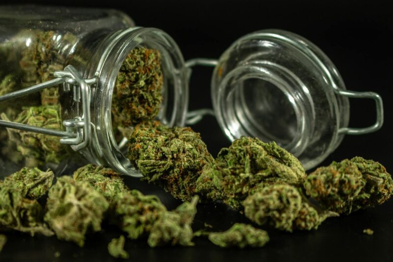 cannabis education digital age, educate new cannabis consumers, cannabis informed decisions, online cannabis learning, cannabis consumer awareness, digital cannabis training, cannabis knowledge courses, cannabis educational resources, legal cannabis information, cannabis marketing education