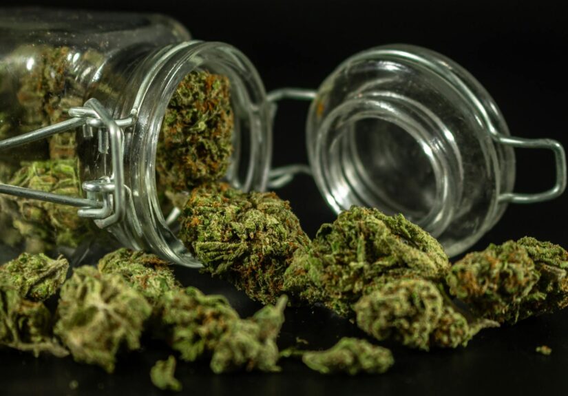 cannabis education digital age, educate new cannabis consumers, cannabis informed decisions, online cannabis learning, cannabis consumer awareness, digital cannabis training, cannabis knowledge courses, cannabis educational resources, legal cannabis information, cannabis marketing education