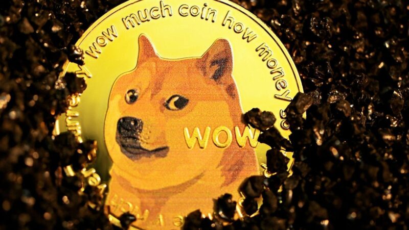 dogecoin foundation, dogecoin development, dogecoin evolution, DOGE community, cryptocurrency foundations, crypto nonprofit organizations, dogecoin influence, decentralized finance dogecoin, DOGE projects, dogecoin governance