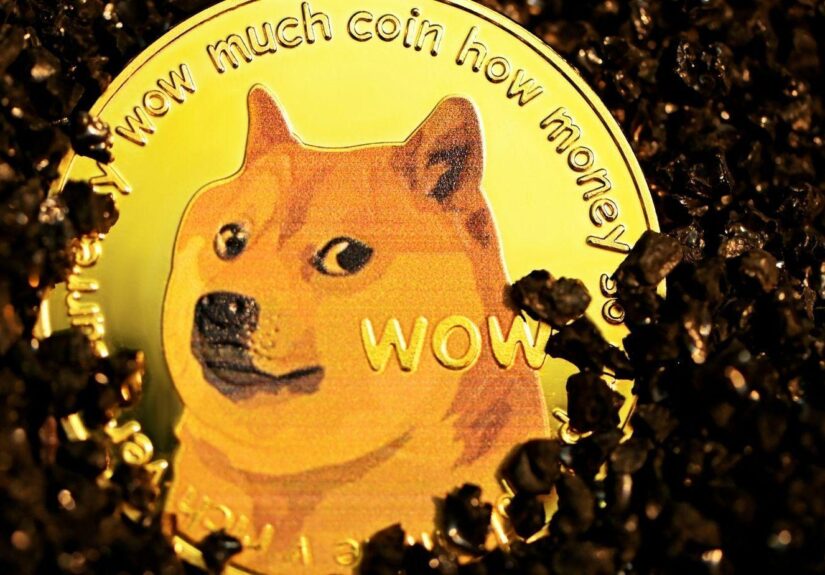 dogecoin foundation, dogecoin development, dogecoin evolution, DOGE community, cryptocurrency foundations, crypto nonprofit organizations, dogecoin influence, decentralized finance dogecoin, DOGE projects, dogecoin governance
