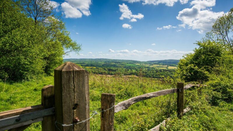 Rolling green North Downs countryside on the edge of the Surrey Hills near Effingham.